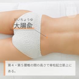 大腸兪 だいちょうゆ｜ツボの場所と効果｜ツボネット 鍼灸の症例が検索できるツボ辞典