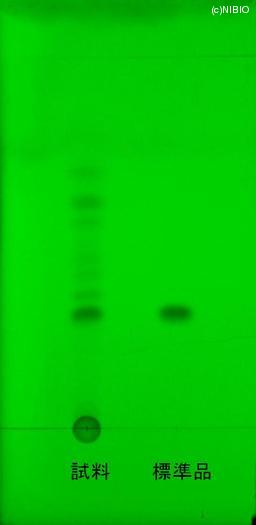 http://mpdb.nibiohn.go.jp/CONTENTS_ROOT/JP_IDENTIFICATION_PHOTO_DATA/JP_IDENTIFICATION_PHOTO_FILE/thumbnail/785.JPG