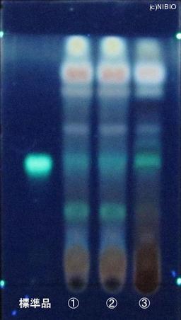 http://mpdb.nibiohn.go.jp/CONTENTS_ROOT/JP_IDENTIFICATION_PHOTO_DATA/JP_IDENTIFICATION_PHOTO_FILE/thumbnail/877.JPG