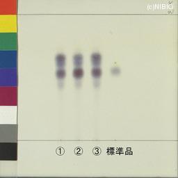http://mpdb.nibiohn.go.jp/CONTENTS_ROOT/JP_IDENTIFICATION_PHOTO_DATA/JP_IDENTIFICATION_PHOTO_FILE/thumbnail/1156.jpg