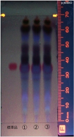 http://mpdb.nibiohn.go.jp/CONTENTS_ROOT/JP_IDENTIFICATION_PHOTO_DATA/JP_IDENTIFICATION_PHOTO_FILE/thumbnail/305.jpg