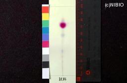http://mpdb.nibiohn.go.jp/CONTENTS_ROOT/JP_IDENTIFICATION_PHOTO_DATA/JP_IDENTIFICATION_PHOTO_FILE/thumbnail/1255.jpg