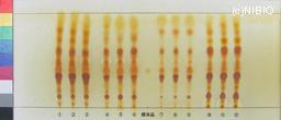 http://mpdb.nibiohn.go.jp/CONTENTS_ROOT/JP_IDENTIFICATION_PHOTO_DATA/JP_IDENTIFICATION_PHOTO_FILE/thumbnail/1105.jpg