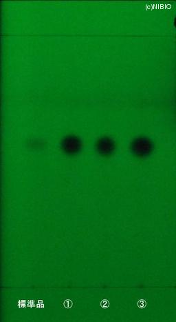 http://mpdb.nibiohn.go.jp/CONTENTS_ROOT/JP_IDENTIFICATION_PHOTO_DATA/JP_IDENTIFICATION_PHOTO_FILE/thumbnail/1225.JPG