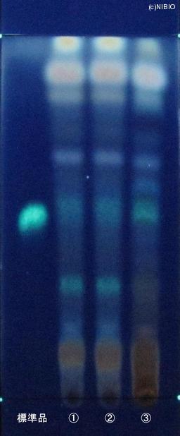http://mpdb.nibiohn.go.jp/CONTENTS_ROOT/JP_IDENTIFICATION_PHOTO_DATA/JP_IDENTIFICATION_PHOTO_FILE/thumbnail/878.JPG