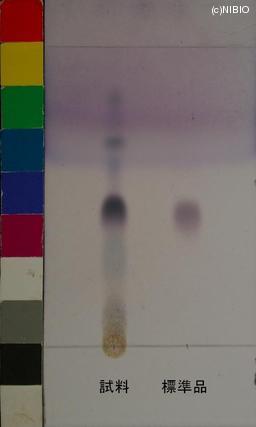 http://mpdb.nibiohn.go.jp/CONTENTS_ROOT/JP_IDENTIFICATION_PHOTO_DATA/JP_IDENTIFICATION_PHOTO_FILE/thumbnail/809.JPG