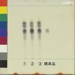 http://mpdb.nibiohn.go.jp/CONTENTS_ROOT/JP_IDENTIFICATION_PHOTO_DATA/JP_IDENTIFICATION_PHOTO_FILE/thumbnail/1157.jpg