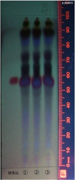 http://mpdb.nibiohn.go.jp/CONTENTS_ROOT/JP_IDENTIFICATION_PHOTO_DATA/JP_IDENTIFICATION_PHOTO_FILE/thumbnail/306.jpg