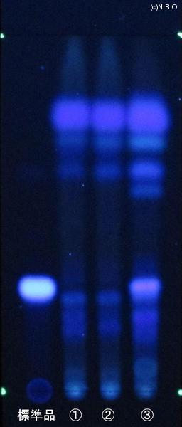 http://mpdb.nibiohn.go.jp/CONTENTS_ROOT/JP_IDENTIFICATION_PHOTO_DATA/JP_IDENTIFICATION_PHOTO_FILE/thumbnail/844.JPG