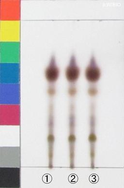 http://mpdb.nibiohn.go.jp/CONTENTS_ROOT/JP_IDENTIFICATION_PHOTO_DATA/JP_IDENTIFICATION_PHOTO_FILE/thumbnail/1256.jpg