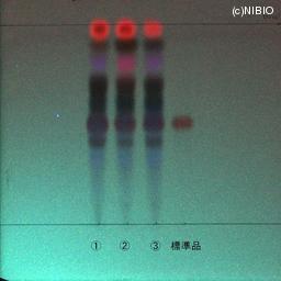 http://mpdb.nibiohn.go.jp/CONTENTS_ROOT/JP_IDENTIFICATION_PHOTO_DATA/JP_IDENTIFICATION_PHOTO_FILE/thumbnail/685.jpg