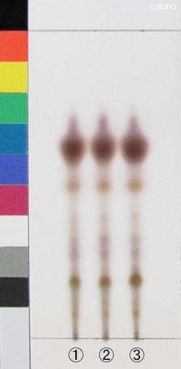 http://mpdb.nibiohn.go.jp/CONTENTS_ROOT/JP_IDENTIFICATION_PHOTO_DATA/JP_IDENTIFICATION_PHOTO_FILE/thumbnail/1257.jpg