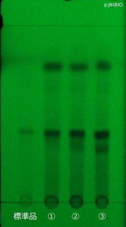 http://mpdb.nibiohn.go.jp/CONTENTS_ROOT/JP_IDENTIFICATION_PHOTO_DATA/JP_IDENTIFICATION_PHOTO_FILE/thumbnail/471.jpg