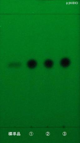 http://mpdb.nibiohn.go.jp/CONTENTS_ROOT/JP_IDENTIFICATION_PHOTO_DATA/JP_IDENTIFICATION_PHOTO_FILE/thumbnail/1227.JPG