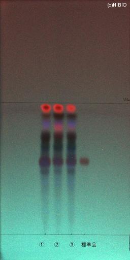 http://mpdb.nibiohn.go.jp/CONTENTS_ROOT/JP_IDENTIFICATION_PHOTO_DATA/JP_IDENTIFICATION_PHOTO_FILE/thumbnail/686.jpg
