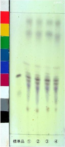 http://mpdb.nibiohn.go.jp/CONTENTS_ROOT/JP_IDENTIFICATION_PHOTO_DATA/JP_IDENTIFICATION_PHOTO_FILE/thumbnail/634.jpg