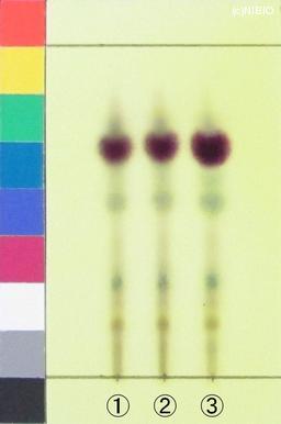 http://mpdb.nibiohn.go.jp/CONTENTS_ROOT/JP_IDENTIFICATION_PHOTO_DATA/JP_IDENTIFICATION_PHOTO_FILE/thumbnail/1258.jpg