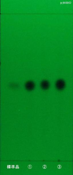 http://mpdb.nibiohn.go.jp/CONTENTS_ROOT/JP_IDENTIFICATION_PHOTO_DATA/JP_IDENTIFICATION_PHOTO_FILE/thumbnail/1228.JPG