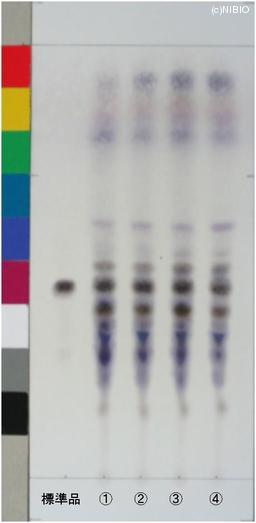 http://mpdb.nibiohn.go.jp/CONTENTS_ROOT/JP_IDENTIFICATION_PHOTO_DATA/JP_IDENTIFICATION_PHOTO_FILE/thumbnail/636.jpg