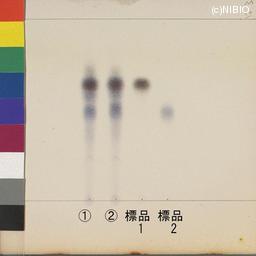 http://mpdb.nibiohn.go.jp/CONTENTS_ROOT/JP_IDENTIFICATION_PHOTO_DATA/JP_IDENTIFICATION_PHOTO_FILE/thumbnail/1159.jpg