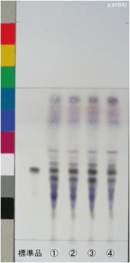 http://mpdb.nibiohn.go.jp/CONTENTS_ROOT/JP_IDENTIFICATION_PHOTO_DATA/JP_IDENTIFICATION_PHOTO_FILE/thumbnail/635.jpg