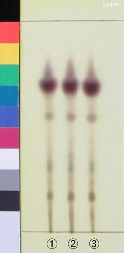 http://mpdb.nibiohn.go.jp/CONTENTS_ROOT/JP_IDENTIFICATION_PHOTO_DATA/JP_IDENTIFICATION_PHOTO_FILE/thumbnail/1259.jpg