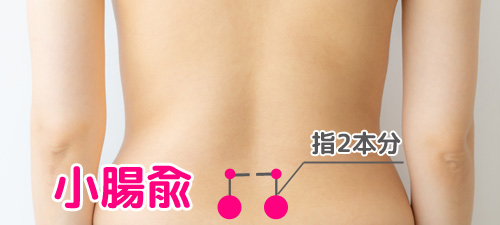 【鍼灸師が解説】すぐできる！便秘・下痢に効果的なツボ3選 | ウントピ！