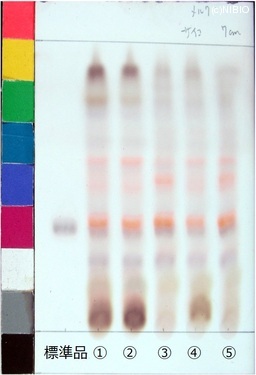 http://mpdb.nibiohn.go.jp/CONTENTS_ROOT/JP_IDENTIFICATION_PHOTO_DATA/JP_IDENTIFICATION_PHOTO_FILE/thumbnail/515.jpg