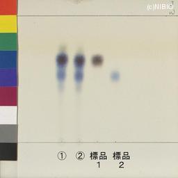 http://mpdb.nibiohn.go.jp/CONTENTS_ROOT/JP_IDENTIFICATION_PHOTO_DATA/JP_IDENTIFICATION_PHOTO_FILE/thumbnail/1160.jpg