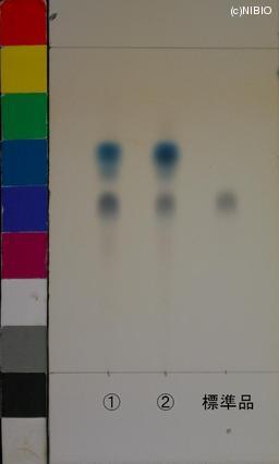 http://mpdb.nibiohn.go.jp/CONTENTS_ROOT/JP_IDENTIFICATION_PHOTO_DATA/JP_IDENTIFICATION_PHOTO_FILE/thumbnail/1161.JPG