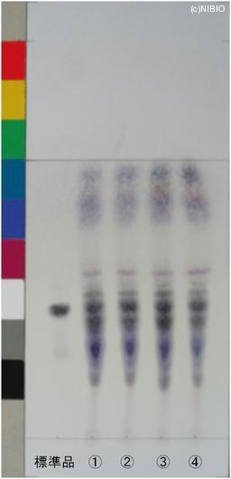 http://mpdb.nibiohn.go.jp/CONTENTS_ROOT/JP_IDENTIFICATION_PHOTO_DATA/JP_IDENTIFICATION_PHOTO_FILE/thumbnail/637.jpg