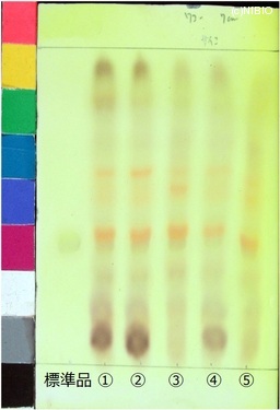 http://mpdb.nibiohn.go.jp/CONTENTS_ROOT/JP_IDENTIFICATION_PHOTO_DATA/JP_IDENTIFICATION_PHOTO_FILE/thumbnail/517.jpg