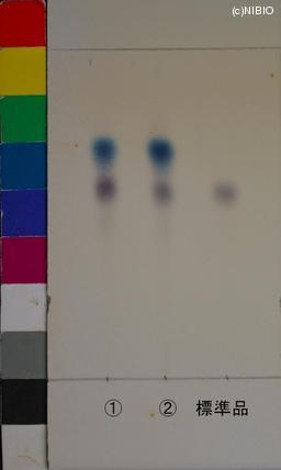 http://mpdb.nibiohn.go.jp/CONTENTS_ROOT/JP_IDENTIFICATION_PHOTO_DATA/JP_IDENTIFICATION_PHOTO_FILE/thumbnail/1162.JPG
