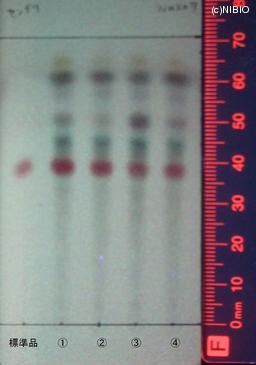 http://mpdb.nibiohn.go.jp/CONTENTS_ROOT/JP_IDENTIFICATION_PHOTO_DATA/JP_IDENTIFICATION_PHOTO_FILE/thumbnail/1250.jpg