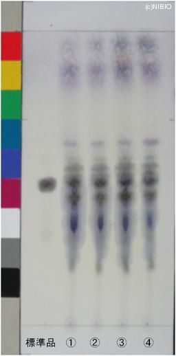 http://mpdb.nibiohn.go.jp/CONTENTS_ROOT/JP_IDENTIFICATION_PHOTO_DATA/JP_IDENTIFICATION_PHOTO_FILE/thumbnail/638.jpg