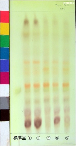 http://mpdb.nibiohn.go.jp/CONTENTS_ROOT/JP_IDENTIFICATION_PHOTO_DATA/JP_IDENTIFICATION_PHOTO_FILE/thumbnail/518.jpg