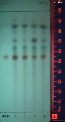 http://mpdb.nibiohn.go.jp/CONTENTS_ROOT/JP_IDENTIFICATION_PHOTO_DATA/JP_IDENTIFICATION_PHOTO_FILE/thumbnail/1251.jpg