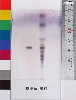 http://mpdb.nibiohn.go.jp/CONTENTS_ROOT/JP_IDENTIFICATION_PHOTO_DATA/JP_IDENTIFICATION_PHOTO_FILE/thumbnail/639.jpg