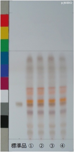 http://mpdb.nibiohn.go.jp/CONTENTS_ROOT/JP_IDENTIFICATION_PHOTO_DATA/JP_IDENTIFICATION_PHOTO_FILE/thumbnail/519.jpg