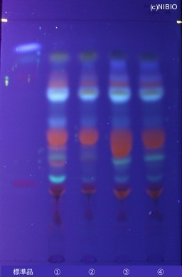 http://mpdb.nibiohn.go.jp/CONTENTS_ROOT/JP_IDENTIFICATION_PHOTO_DATA/JP_IDENTIFICATION_PHOTO_FILE/thumbnail/124.jpg
