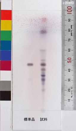 http://mpdb.nibiohn.go.jp/CONTENTS_ROOT/JP_IDENTIFICATION_PHOTO_DATA/JP_IDENTIFICATION_PHOTO_FILE/thumbnail/640.jpg