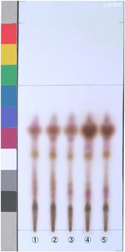 http://mpdb.nibiohn.go.jp/CONTENTS_ROOT/JP_IDENTIFICATION_PHOTO_DATA/JP_IDENTIFICATION_PHOTO_FILE/thumbnail/1264.jpg