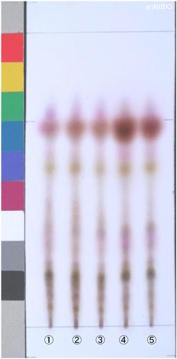 http://mpdb.nibiohn.go.jp/CONTENTS_ROOT/JP_IDENTIFICATION_PHOTO_DATA/JP_IDENTIFICATION_PHOTO_FILE/thumbnail/1265.jpg