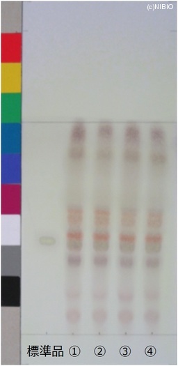 http://mpdb.nibiohn.go.jp/CONTENTS_ROOT/JP_IDENTIFICATION_PHOTO_DATA/JP_IDENTIFICATION_PHOTO_FILE/thumbnail/521.jpg