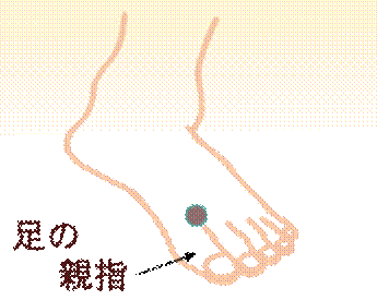 width=