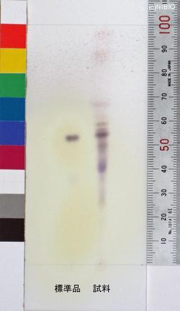 http://mpdb.nibiohn.go.jp/CONTENTS_ROOT/JP_IDENTIFICATION_PHOTO_DATA/JP_IDENTIFICATION_PHOTO_FILE/thumbnail/642.jpg