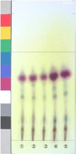 http://mpdb.nibiohn.go.jp/CONTENTS_ROOT/JP_IDENTIFICATION_PHOTO_DATA/JP_IDENTIFICATION_PHOTO_FILE/thumbnail/1266.jpg
