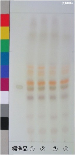 http://mpdb.nibiohn.go.jp/CONTENTS_ROOT/JP_IDENTIFICATION_PHOTO_DATA/JP_IDENTIFICATION_PHOTO_FILE/thumbnail/522.jpg