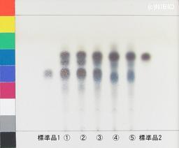 http://mpdb.nibiohn.go.jp/CONTENTS_ROOT/JP_IDENTIFICATION_PHOTO_DATA/JP_IDENTIFICATION_PHOTO_FILE/thumbnail/1167.JPG