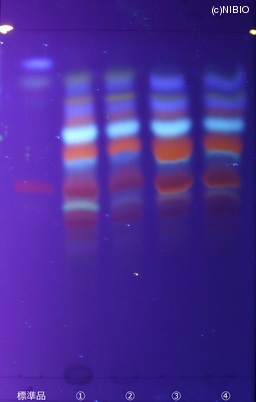 http://mpdb.nibiohn.go.jp/CONTENTS_ROOT/JP_IDENTIFICATION_PHOTO_DATA/JP_IDENTIFICATION_PHOTO_FILE/thumbnail/126.jpg
